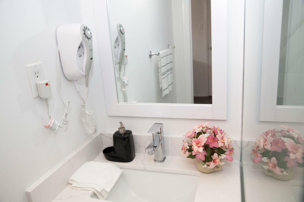 多伦多Cozy 3Br 2Bth Lower Unit, A Min To Hwy401, 404 & Dvp别墅 外观 照片